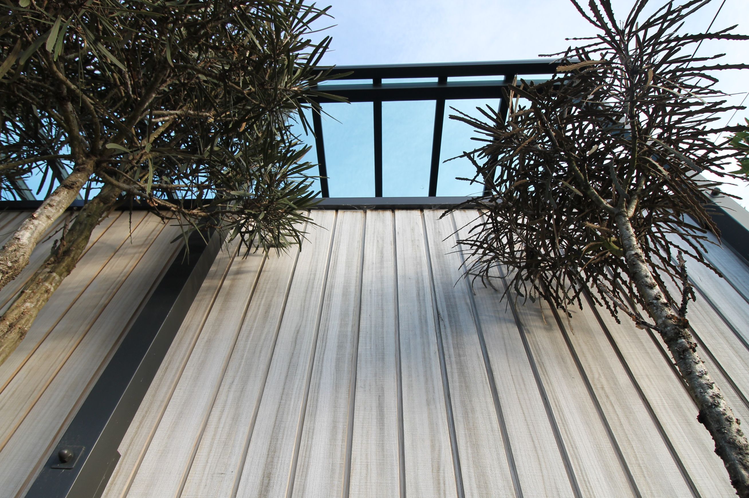 Abodo-vertical-weatherboard-cladding-deck-balustrade-glass-veranda-roof-native-plants